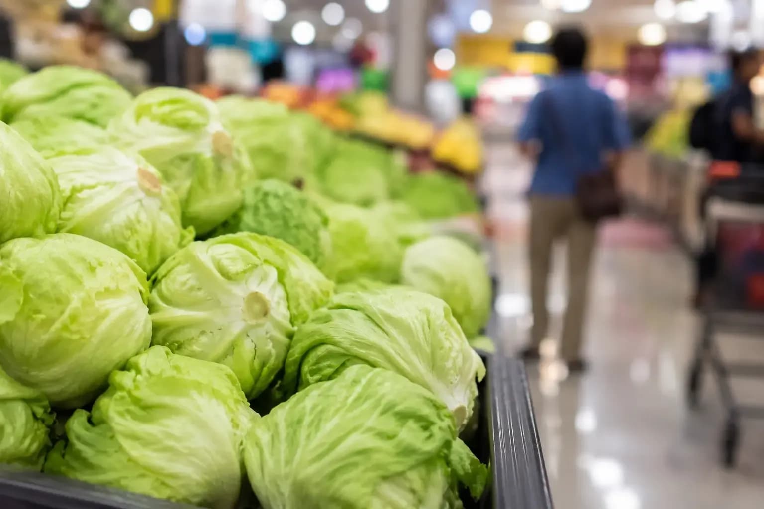 Close-up of fresh iceberg lettuce displayed in a supermarket produce section, representing the nationwide U.S. Cyclospora outbreak linked to contaminated lettuce and ongoing food safety concerns.