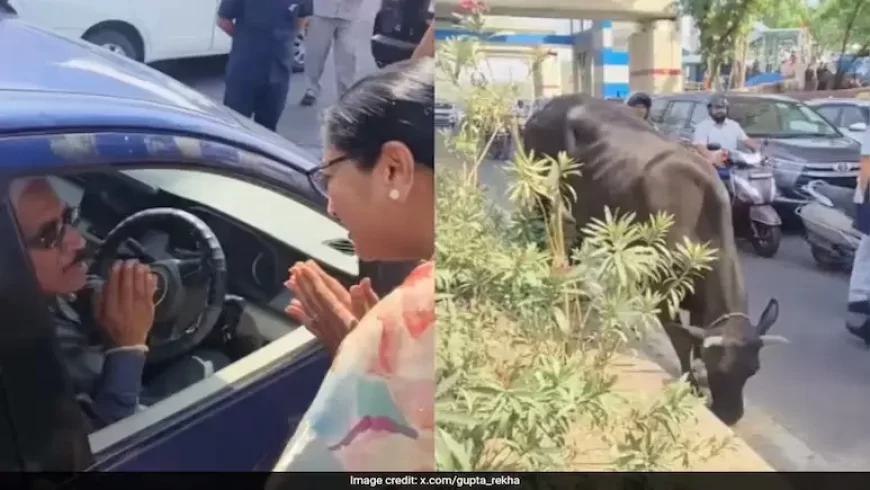 Delhi CM Rekha Gupta Urges Public Not to Feed Cows on Roads, Cites Safety and Cultural Concerns