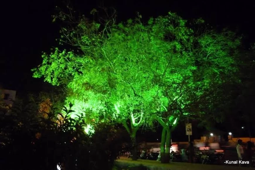 NMMC Slaps ₹10,000 Fine on Pawan Restaurant and Bar in Belapur for Tree Lighting Violation