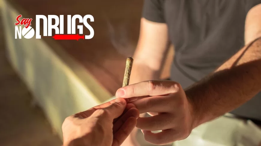 Navi Mumbai Police Bust International Hydro Ganja Racket; 10, Including Cops and Customs Official, Arrested