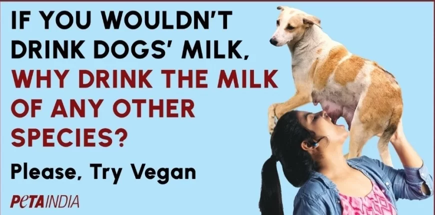 PETA’s ‘Dog Milk’ Ad Sparks Outrage Online; Netizens Call It Disturbing and Distasteful
