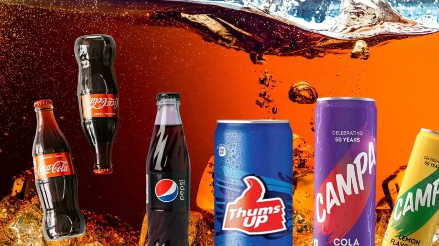 Indian Soft Drink Industry Set to Bounce Back with 10% Growth in 2025 Despite Climate Challenges: Report