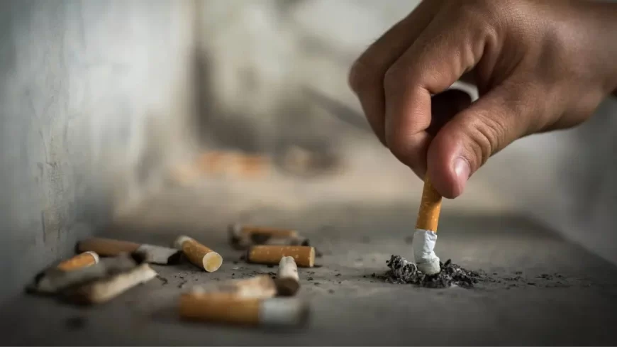 AICPDF Flags Illegal Cigarette Sales on Zepto, Blinkit, and Swiggy Instamart: Urges Manufacturers to Suspend Supply