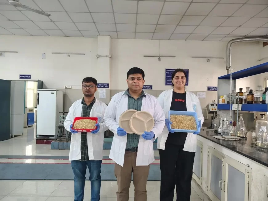 IIT Roorkee Researchers Turn Wheat Straw Into Eco-Friendly Tableware To Tackle Stubble Burning
