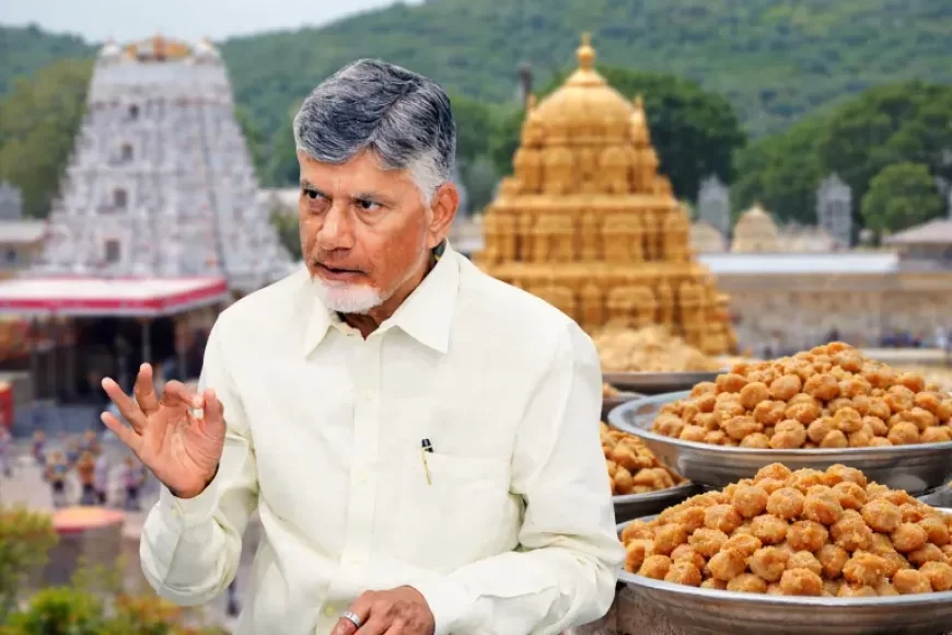 TTD Laddu Ghee Controversy Deepens: Naidu Alleges “Bathroom-Cleaning Chemicals”; SIT Flags ₹250 Crore Adulteration Scam