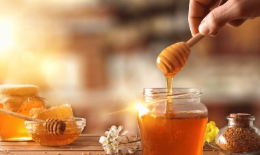 India's honey industry sees sweet success as health-conscious consumers drive demand and exports soar