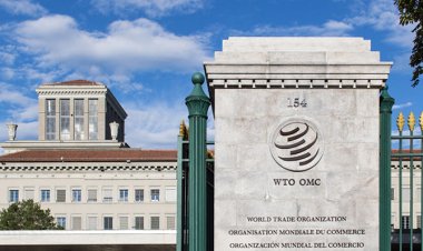 India seeks permanent fix to food stockholding at WTO conference In February 2024