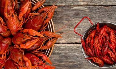 Know more about crayfish - a mix of lobster, crab and shrimp flavors!