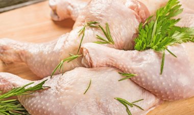 Average Chicken Prices in India's Top Metro Cities