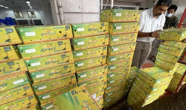 Indian Post Office Department Delivers 19 tons of Mangoes from Farmers