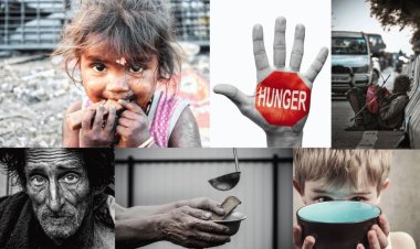 Did you know that over 800 million people around world are currently facing hunger?