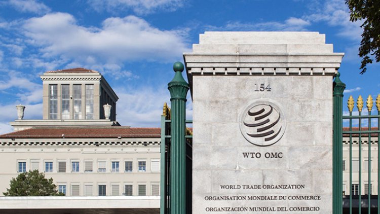 India seeks permanent fix to food stockholding at WTO conference In February 2024