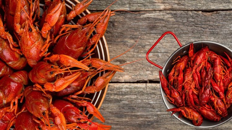 Know more about crayfish - a mix of lobster, crab and shrimp flavors!