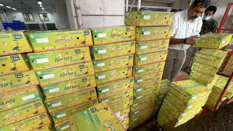 Indian Post Office Department Delivers 19 tons of Mangoes from Farmers