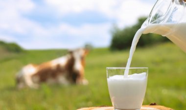 World Milk Day 2023: Celebrating Dairy Goodness and Nourishing Lives