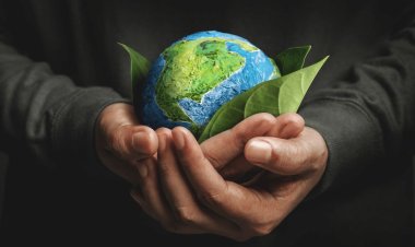 World Environment Day 2023: How You Can Contribute to a Sustainable Future