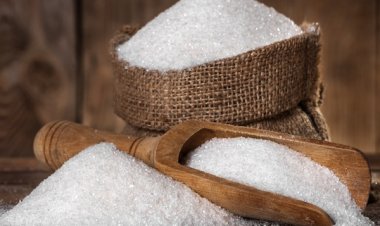 India Delays Sugar Exports but the world needs more Indian sugar, as global prices are trading near 11-years high. Check why?