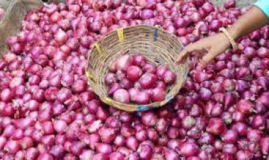 Nepal Traders Halt Onion and Vegetable Imports from India over 13% VAT