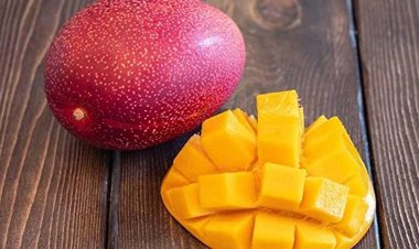 Know The Journey of a Painter-Turned-Farmer in Tripura, Cultivating the World's Priciest Mango Miyazaki