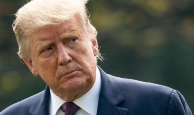 Donald Trump faces accusations of departing a Miami restaurant without honoring his promise to pay for diners' meals, despite his declaration of 'Food for everyone'