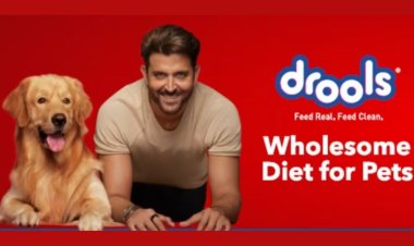 Pet Food Startup Drools Secures $60 Million Funding from L Catterton