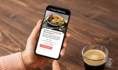 The Impact of Delivery Aggregators on Indian Restaurants: Profits, Conflicts, and Alternatives