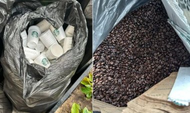 Starbucks Food Waste Exposed: Shocking Video Reveals Untouched Supplies Discarded While a Person Collects and Fills Their Pantry