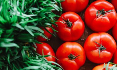 Tomato prices witness a decline in various locations in Lucknow and Delhi-NCR