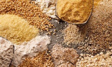 Former Fair Price Operator Arrested in Multi-Crore Food Grain Scam in Uttar Pradesh