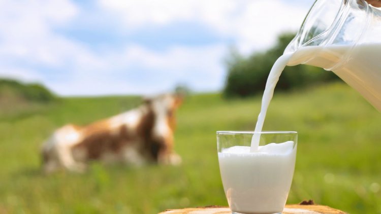 World Milk Day 2023: Celebrating Dairy Goodness and Nourishing Lives