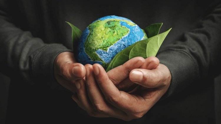 World Environment Day 2023: How You Can Contribute to a Sustainable Future