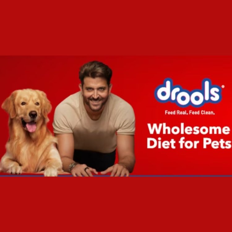 Pet Food Startup Drools Secures $60 Million Funding from L Catterton