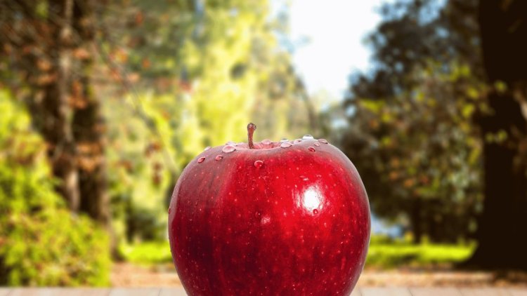 Red Apple Day: Empowering Pharmacists in Bowel Cancer Detection