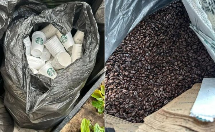 Starbucks Food Waste Exposed: Shocking Video Reveals Untouched Supplies Discarded While a Person Collects and Fills Their Pantry