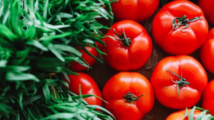 Truck Loaded with 2.5 Tons of Tomatoes Hijacked by Gang Near Bengaluru, Karnataka