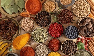 FDA Recalls Indian Spices and Imposes Import Detention Following Contamination Concerns