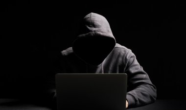 Pune Man Loses Rs 1 Crore to Cyber Criminals in Pizza Chain Franchise Scam