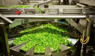 Telangana Emerge as  India's Thriving Food Processing Hub