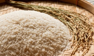 India is considering a potential ban on exporting 80% of its rice supply in an effort to reduce domestic prices