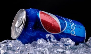 PepsiCo India's Snacks Segment Sees a Mid-Single-Digit decline