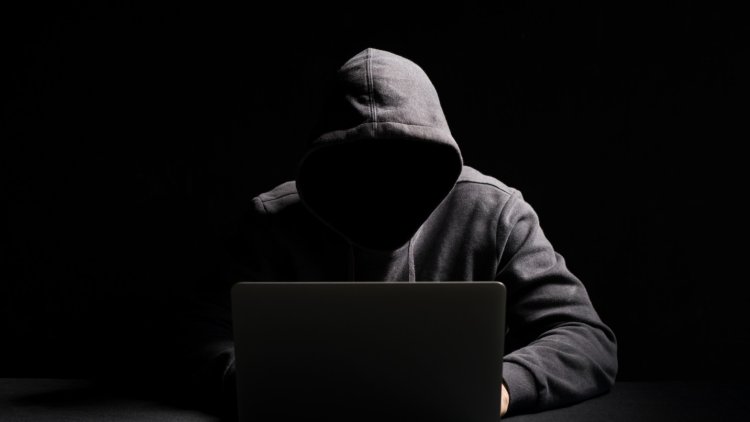 Pune Man Loses Rs 1 Crore to Cyber Criminals in Pizza Chain Franchise Scam