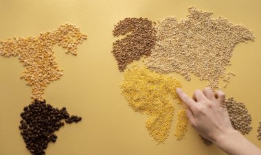 World Food India 2023 Set to Commence in New Delhi, with Prime Minister Modi Inaugurating the Event