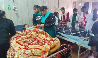 Punjab News, Sangrur Govt School: 74 Children Admitted to Hospital Due to Contaminated Food; CM Mann Initiates Investigation