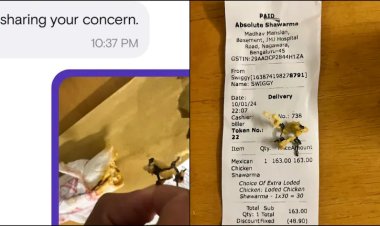 Swiggy Customer Finds Metal in Shawarma, Swiggy Offered Rs 50 Refund as an apology