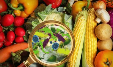 100 Students Suffer Food Poisoning at Tribal School in Thane, FIR Filed Against 4