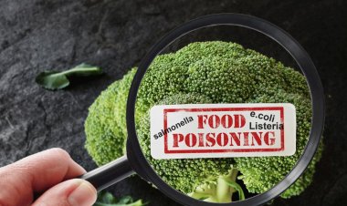 Nearly 2,000 Fall Ill in Nanded Maharashtra Food Poisoning at Religious Event