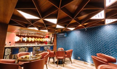 Top 5 Must-Try Restaurants and Bars in Shimla: Check Address, Reviews and More