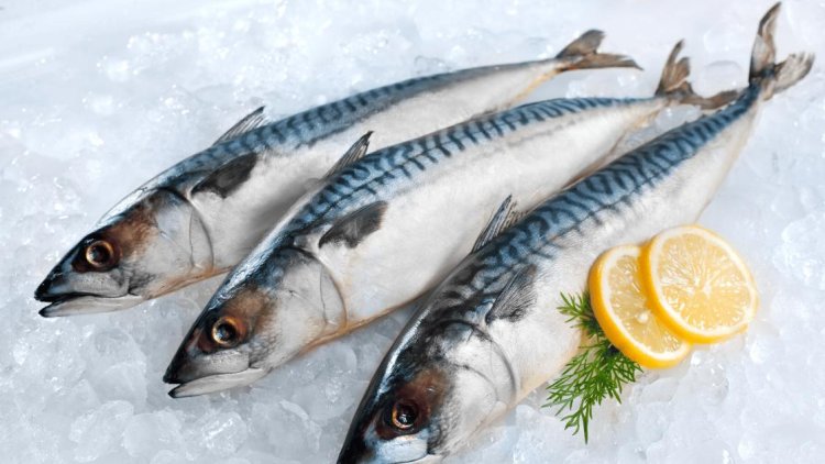 72% of Indians Now Eat Fish: Seafood Consumption Surges in India