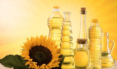 India Increases Sunflower and Soybean Oil Imports as palm oil imports fall