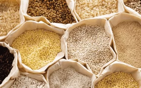 India's Food Habits Praised as Most Sustainable by WWF; Replicating Indian Diet Can Help Save Earth